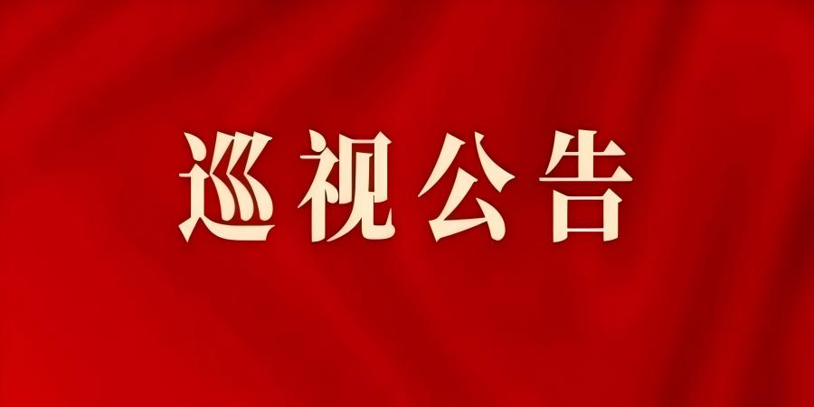 省委第八巡视组对陕西电子信息集团有限公司党委开展巡视